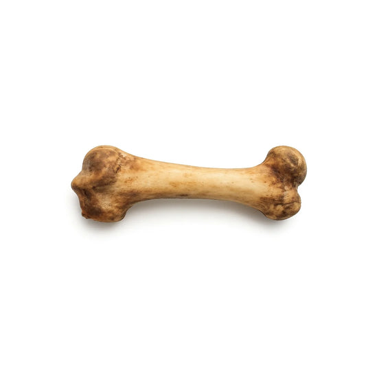 Hueso Horneado de Fémur de Cerdo