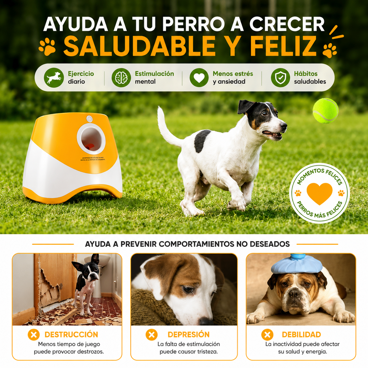 Lanzador Automático de Pelotas