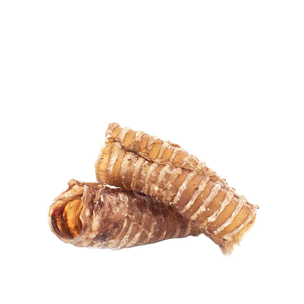 Tráquea de Res Deshidratada (2 pz)