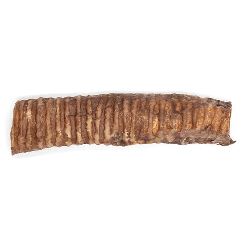 Tráquea de Res 20cm (pieza)